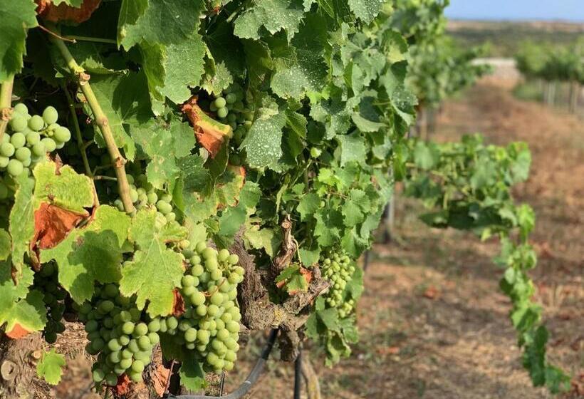 هتل Agroturismo Llucasaldent Gran Menorca Adults Only