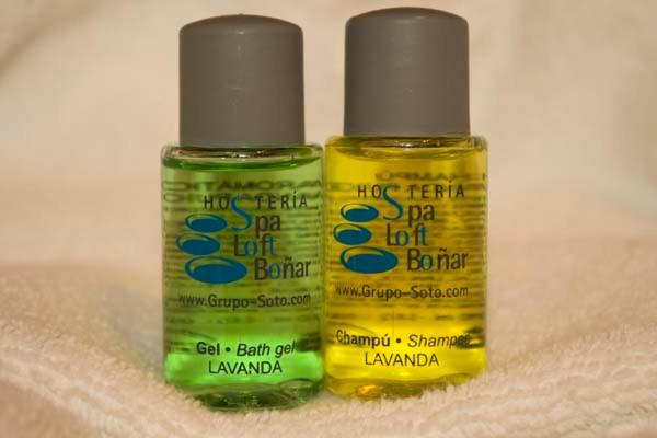 Отель Hostería Loft Boñar