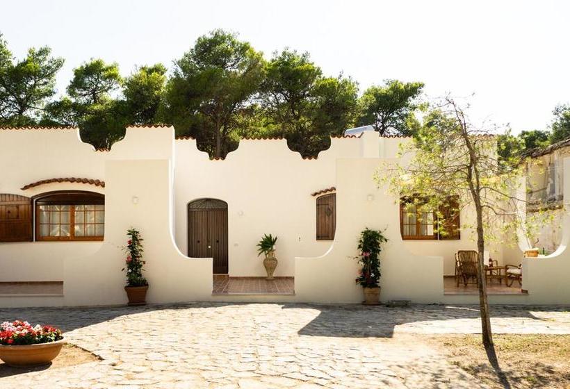 פנסיון Ad Astra