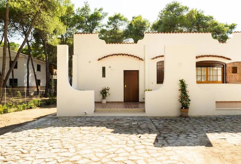 פנסיון Ad Astra