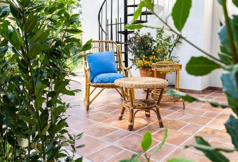 פנסיון Ad Astra