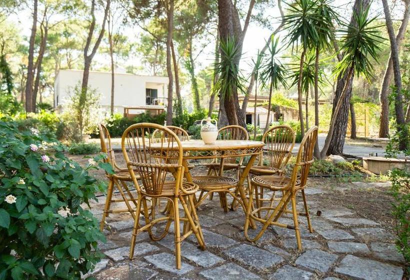 פנסיון Ad Astra