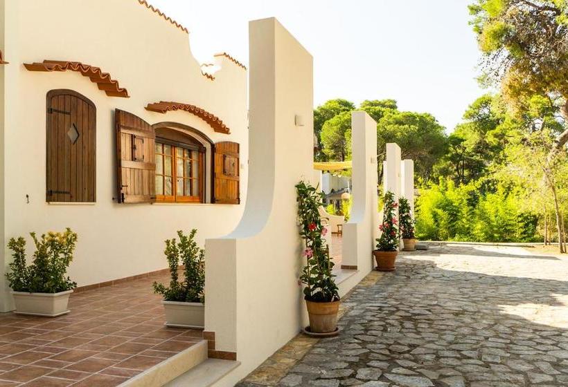 פנסיון Ad Astra