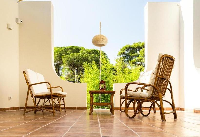 פנסיון Ad Astra