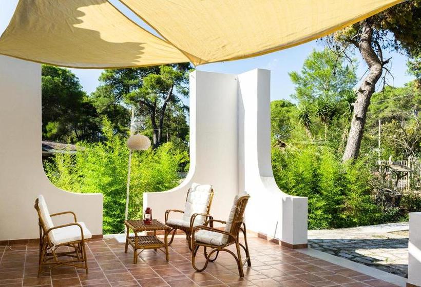 פנסיון Ad Astra