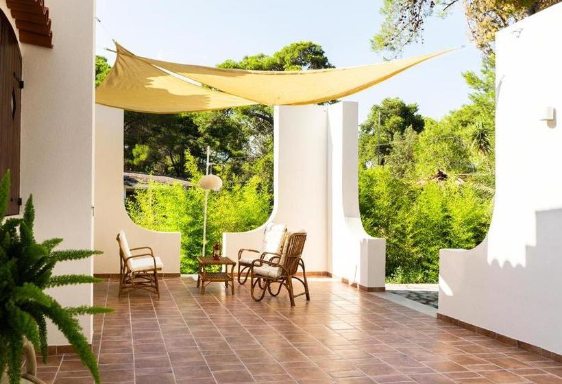 פנסיון Ad Astra