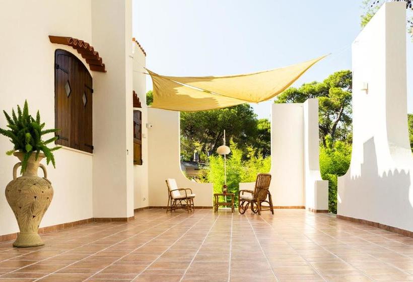 פנסיון Ad Astra