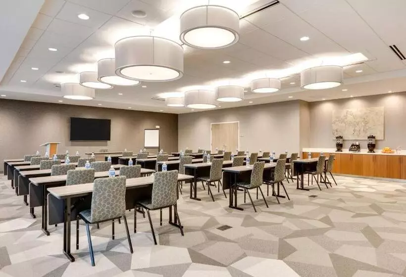 Hotelli Springhill Suites By Marriott Dallas Mansfield