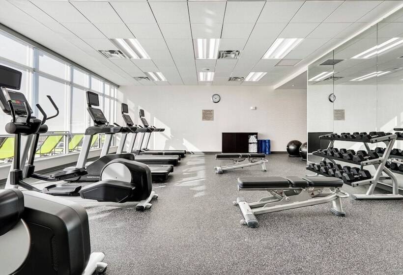 فندق Springhill Suites By Marriott Dallas Mansfield