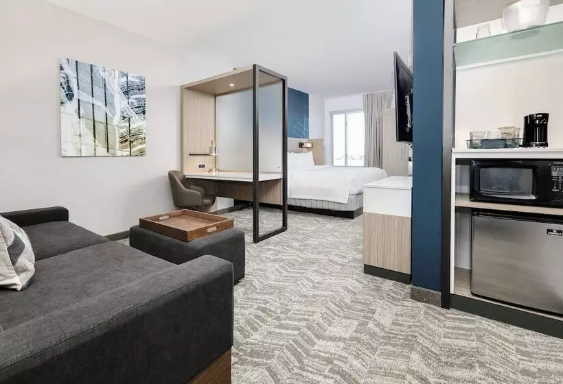 Hotelli Springhill Suites By Marriott Dallas Mansfield