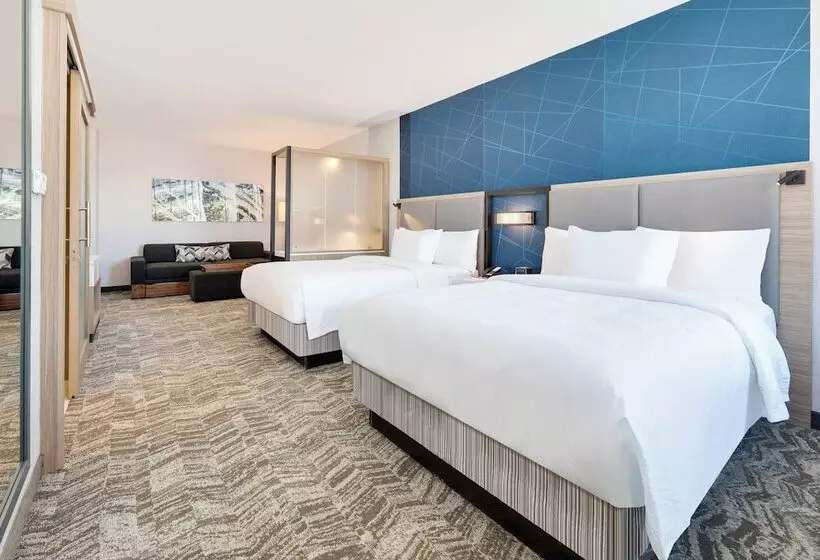 Hotelli Springhill Suites By Marriott Dallas Mansfield