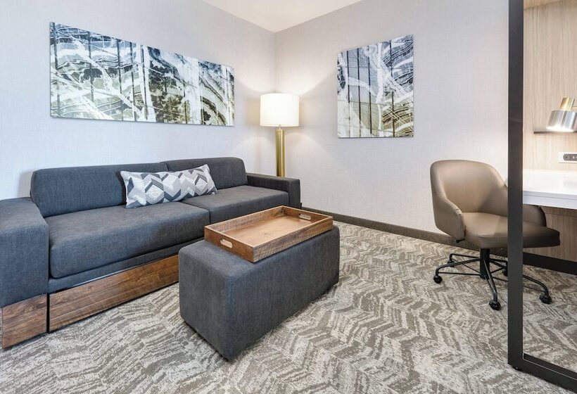 فندق Springhill Suites By Marriott Dallas Mansfield