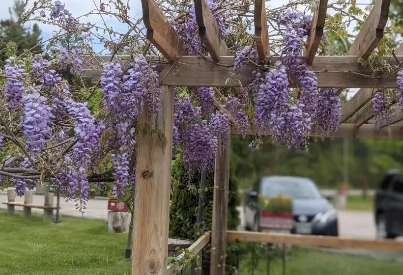 Hotelli The Ashwood Inn