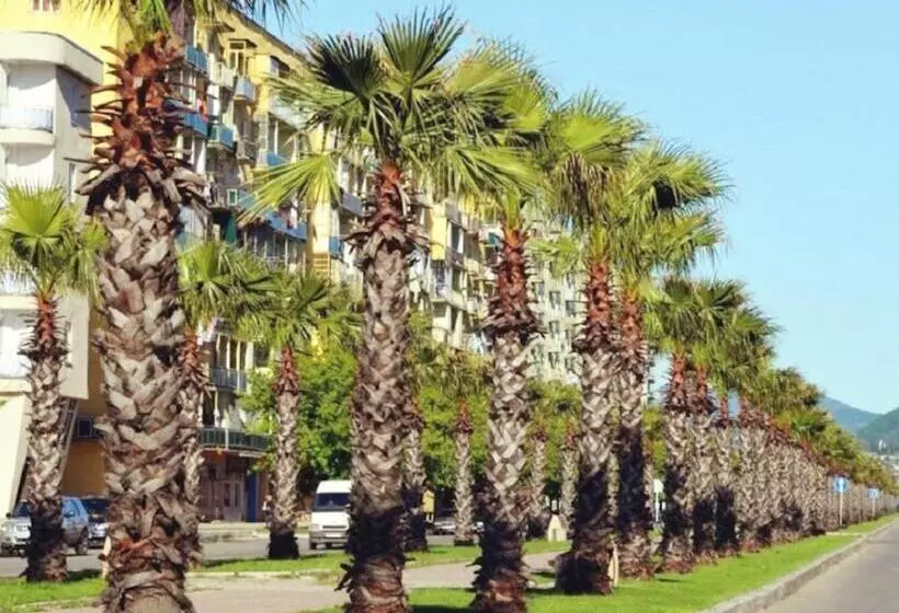 هتل Wooden Museum