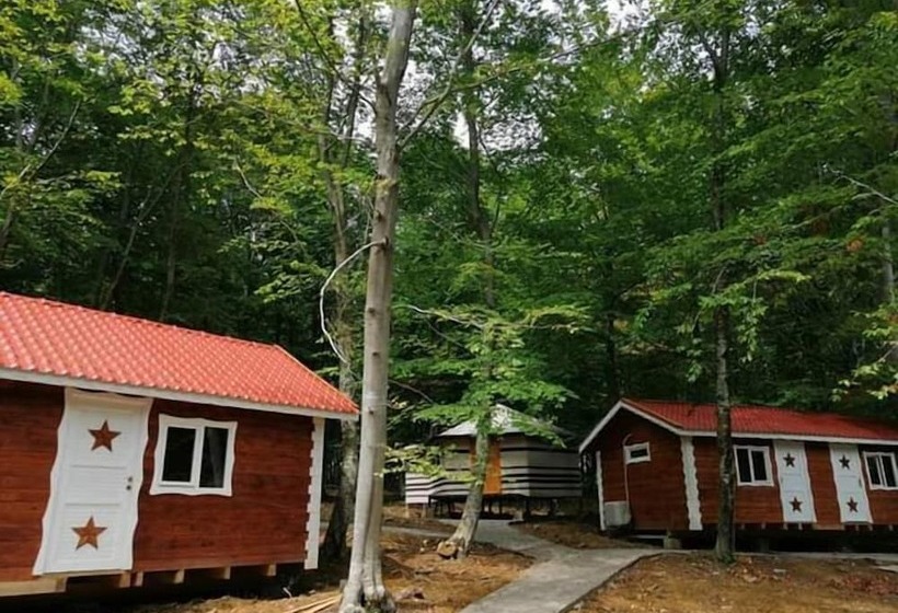 호텔 Yıldız Country