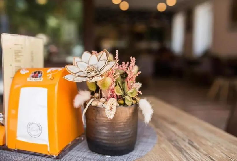 تختخواب و صبحانه Sunny Rooms