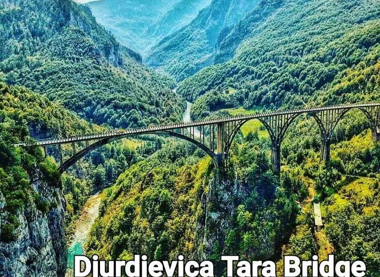 هتل Delta