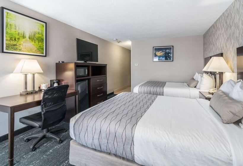 فندق Best Western Plus Keene