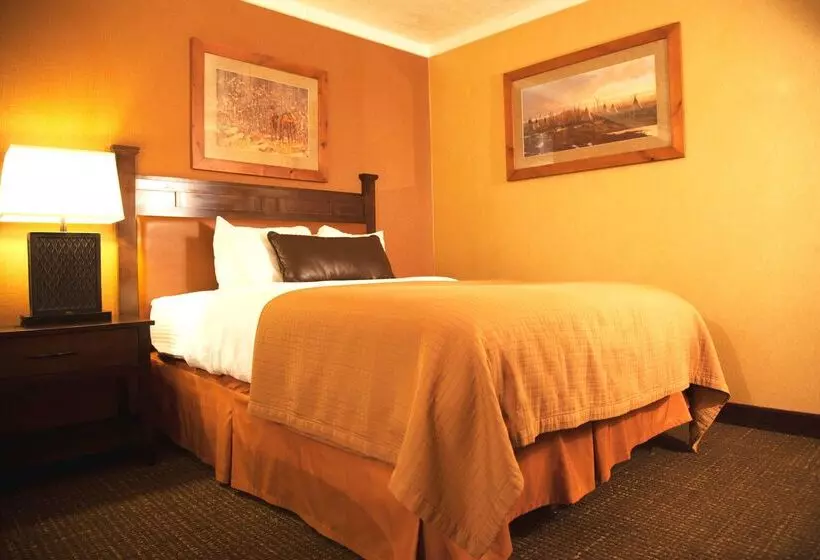 酒店 Best Western Plus Ruby's Inn