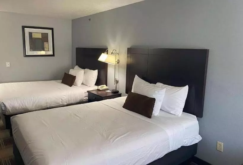 酒店 Baymont By Wyndham Danville Il