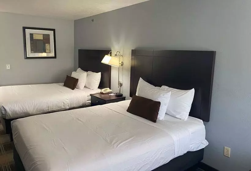 酒店 Baymont By Wyndham Danville Il