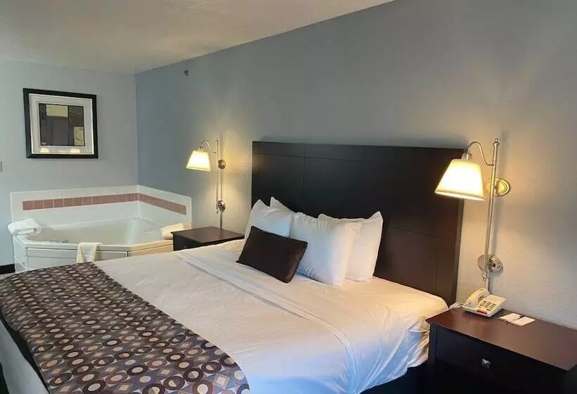 酒店 Baymont By Wyndham Danville Il