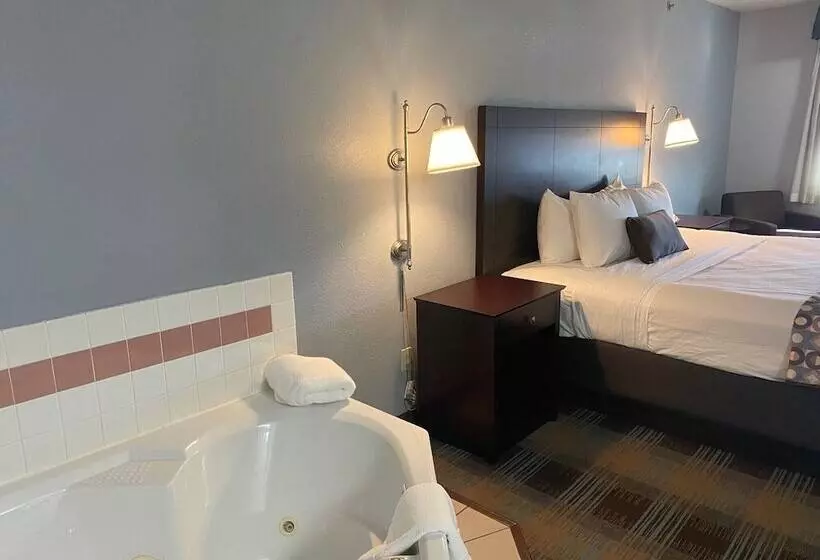 酒店 Baymont By Wyndham Danville Il