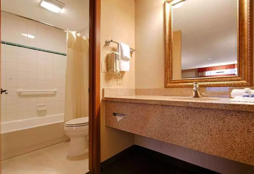 호텔 Best Western Shadow Inn