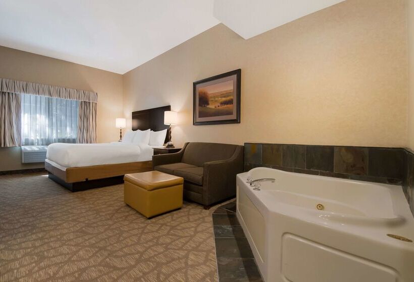 Otel Best Western University Inn And Suites