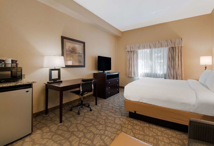 Otel Best Western University Inn And Suites