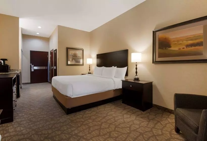 호텔 Best Western University Inn And Suites