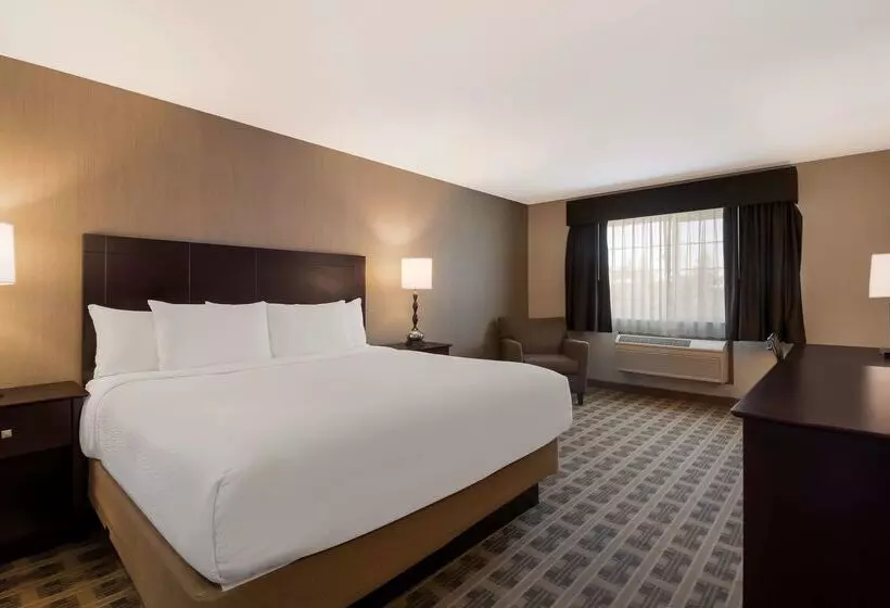 호텔 Best Western University Inn And Suites