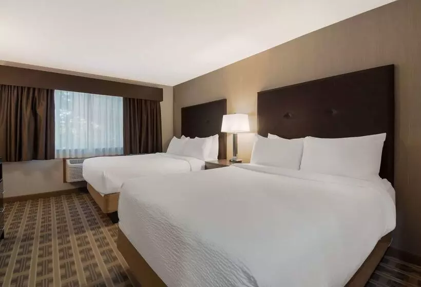 호텔 Best Western University Inn And Suites