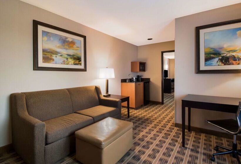 Otel Best Western University Inn And Suites