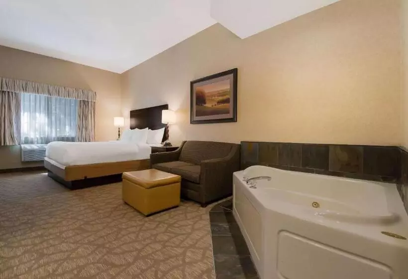 호텔 Best Western University Inn And Suites