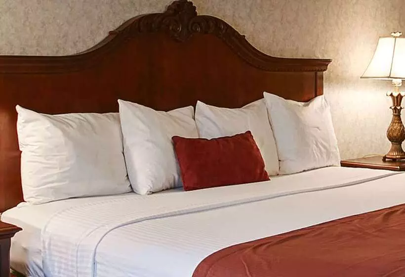 בית מלון כפרי Best Western Wilderness Trail Inn