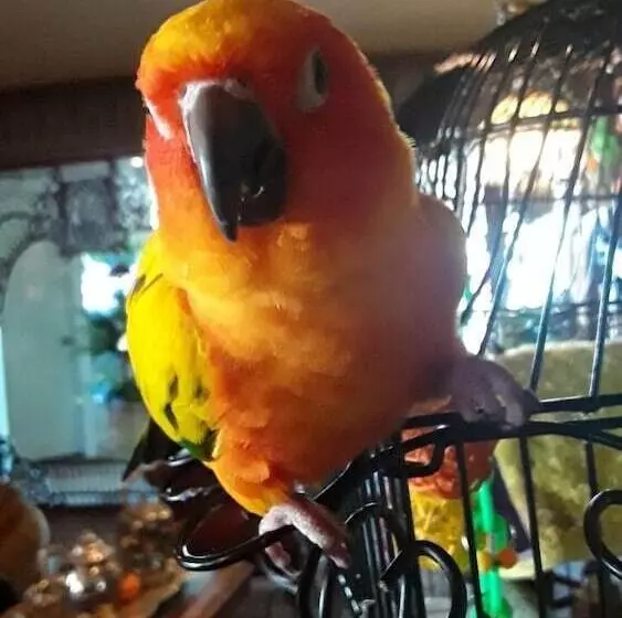 هتل Boardwalk Plaza