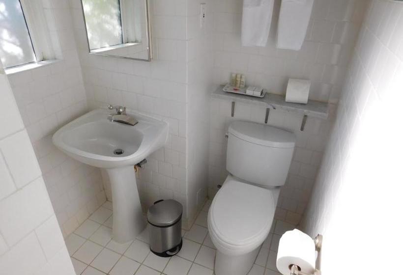 فندق Le Petit Pali Brentwood