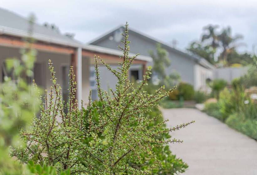 פנסיון Azaria Guesthouse