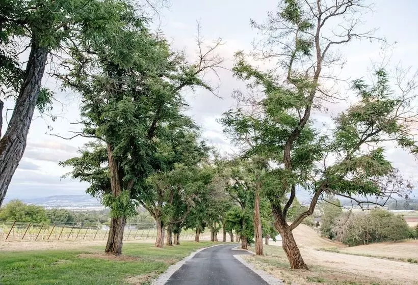 تختخواب و صبحانه Hummingbird Estate
