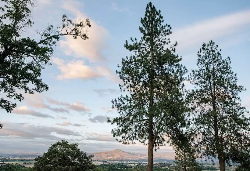 تختخواب و صبحانه Hummingbird Estate