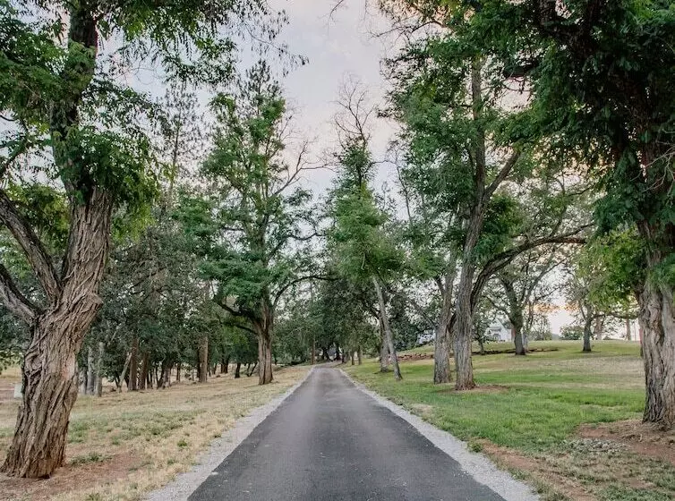 تختخواب و صبحانه Hummingbird Estate