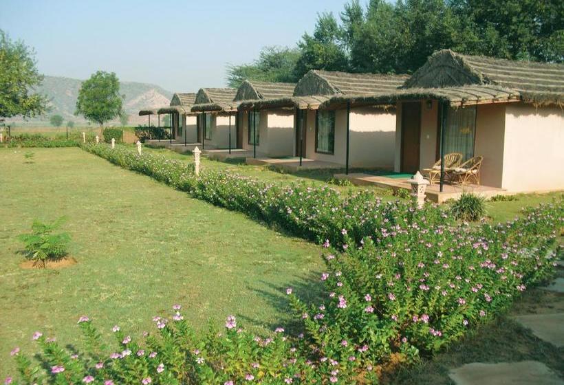 渡假胜地  Dera Village  The Clement Retreats