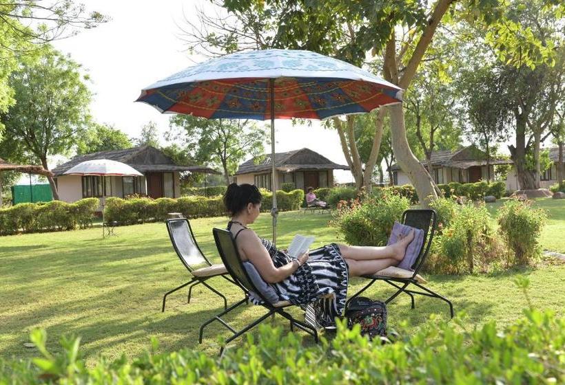 渡假胜地  Dera Village  The Clement Retreats