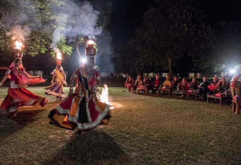 渡假胜地  Dera Village  The Clement Retreats