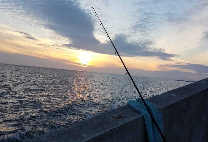 تختخواب و صبحانه Barmouth Beach Club