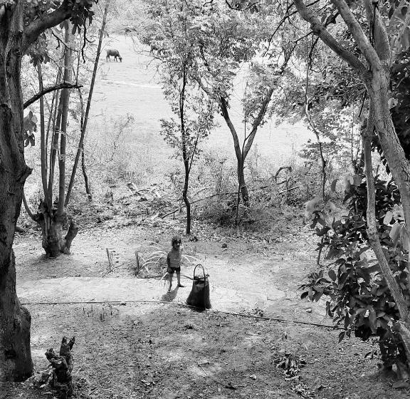 Hotel Elephant Lodge