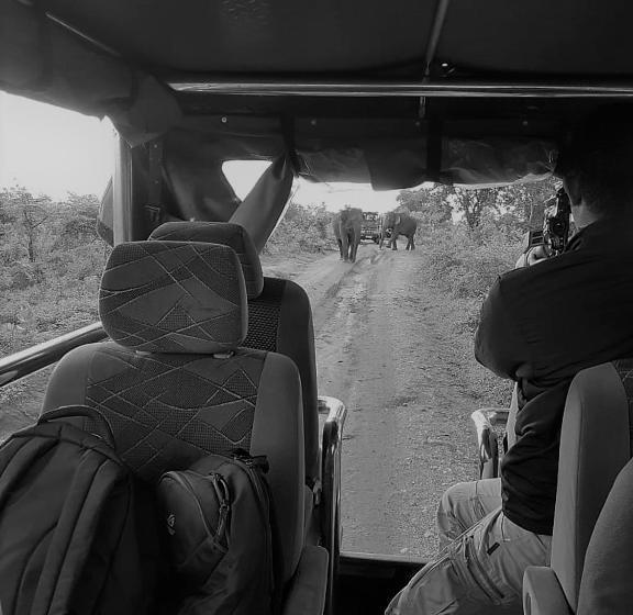 Hotel Elephant Lodge