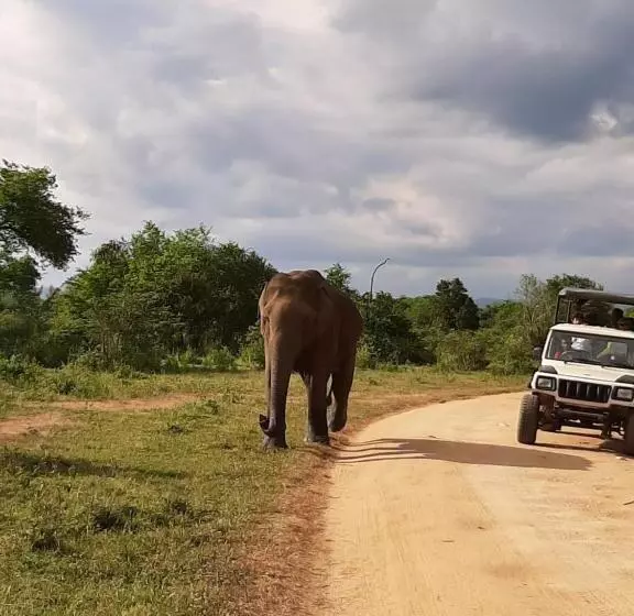 ホテル Elephant Lodge