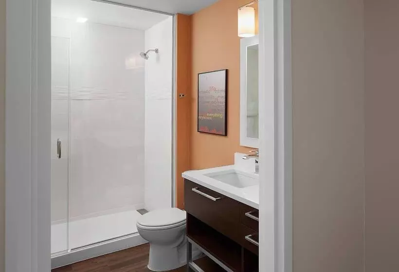 هتل Towneplace Suites By Marriott Danville
